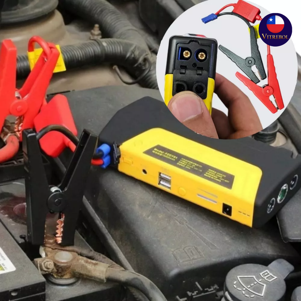 Cargador de Batería 12V