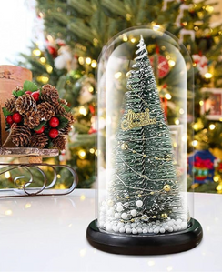 Arbol De Navidad En Cupula De Cristal