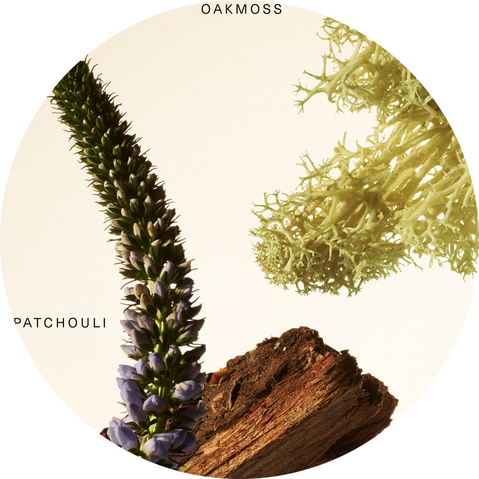 Fragrance Layering Balm - Woody Oak