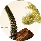 Fragrance Layering Balm - Woody Oak