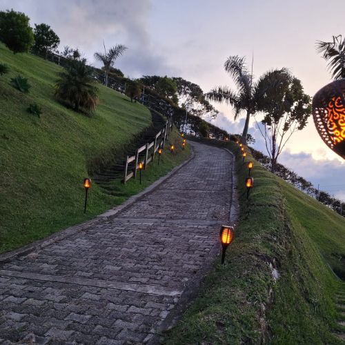 Antorcha de Carga Solar - Pack 4 unidades- 58cm de altura