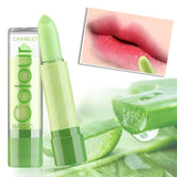 Bálsamo labial Natural de Aloe Vera - bamascota